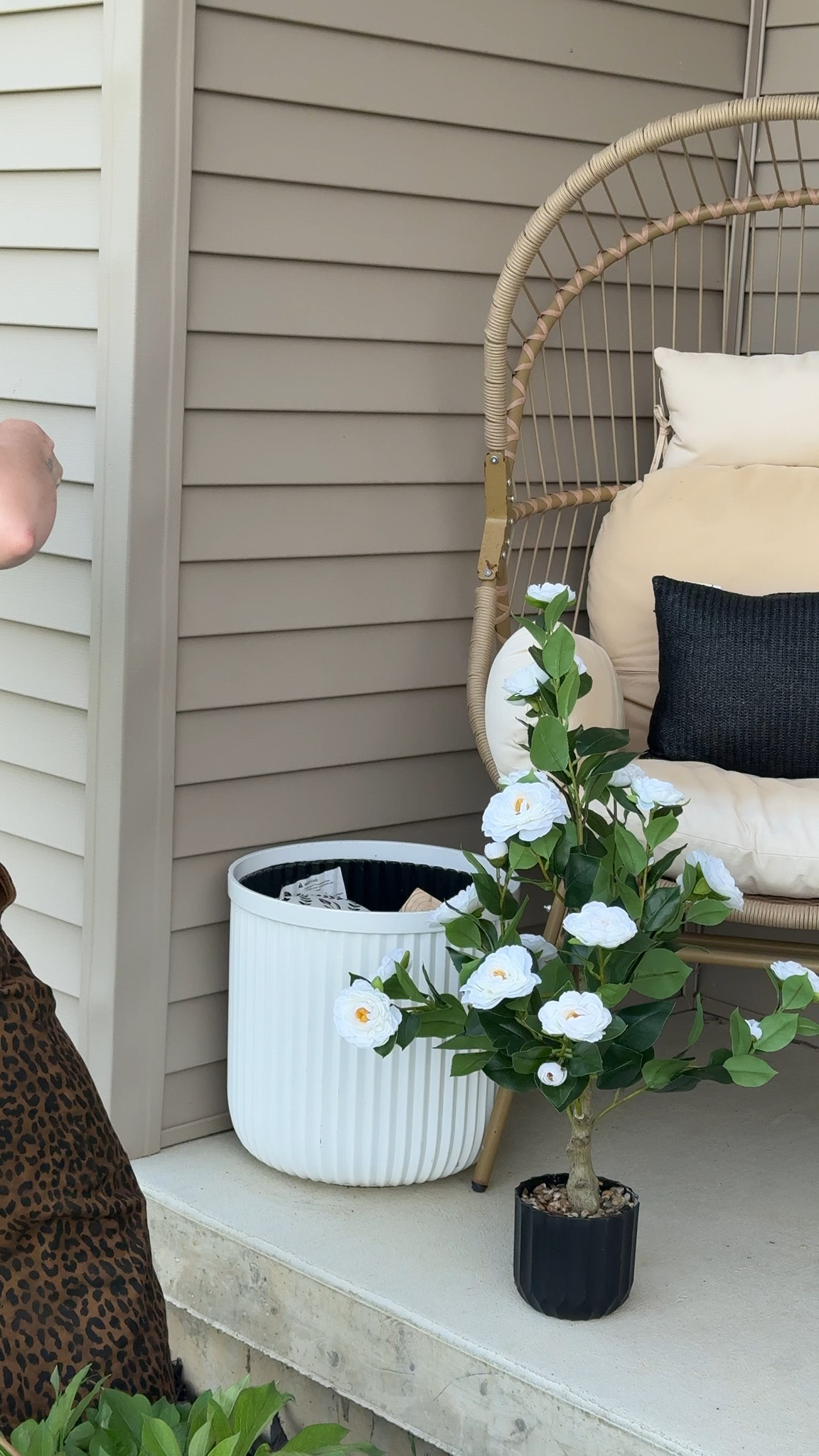 Faux roses

#LTKHome #LTKSaleAlert #LTKdayinmylife