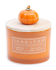 12oz Pumpkin Spice Scented Candle With Pumpkin Lid | Marshalls