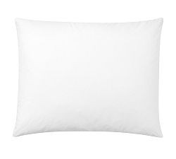 Down Feather Pillow Inserts | Pottery Barn (US)