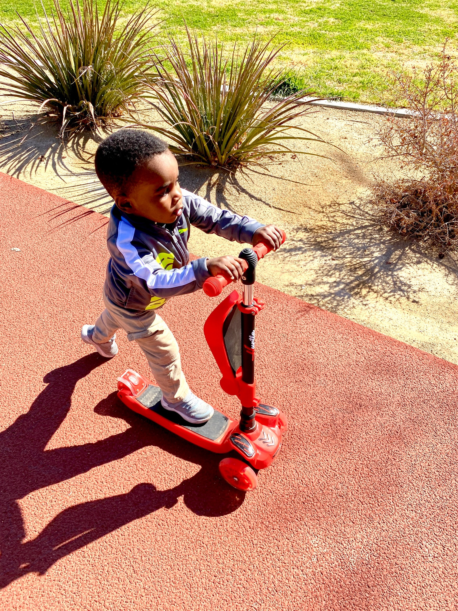 Best kid scooter!! 

#LTKfamily #LTKFind #LTKkids