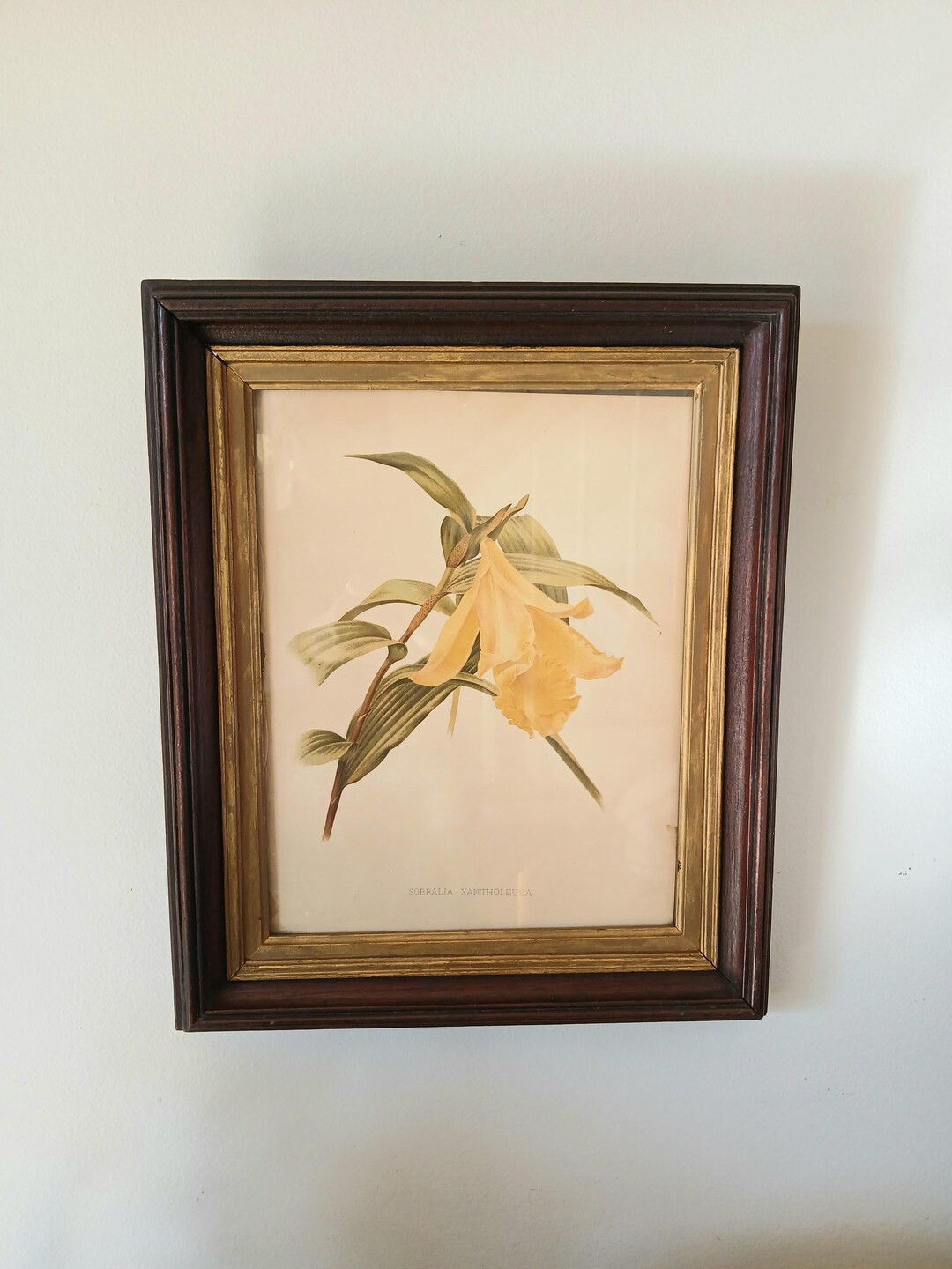 Antique Eastlake Victorian Frame - Walnut Wood Frame With Gilt Gold Fillet - Antique Picture Fram... | Etsy (US)