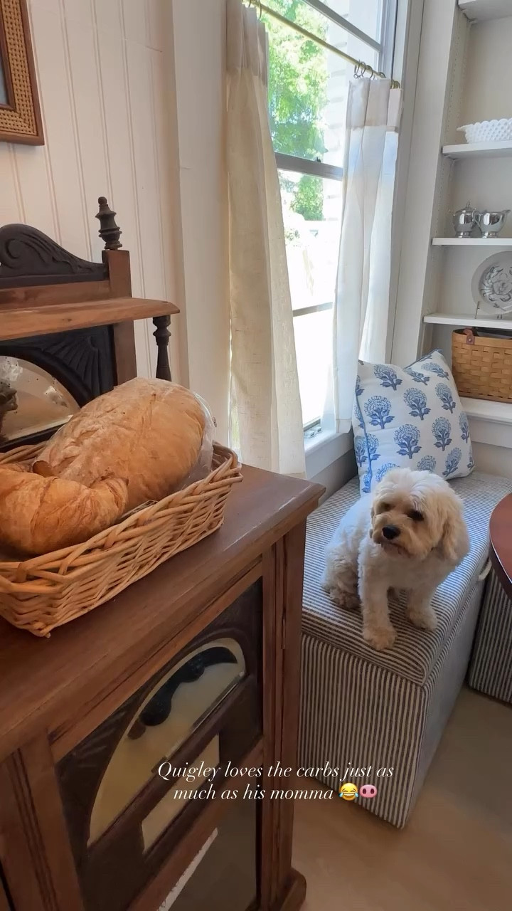 Quigley loves the carbs just as much as his momma 😂🐽