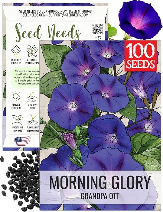 Seed Needs Grandpa OTT Morning Glory Seeds for Planting Deep Blue Flowering Vines - Heirloom & Op... | Amazon (US)