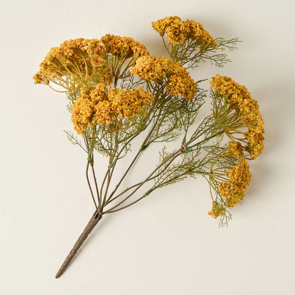 Yellow Queen Anne Lace Bush 

 #LTKHome #LTKSaleAlert