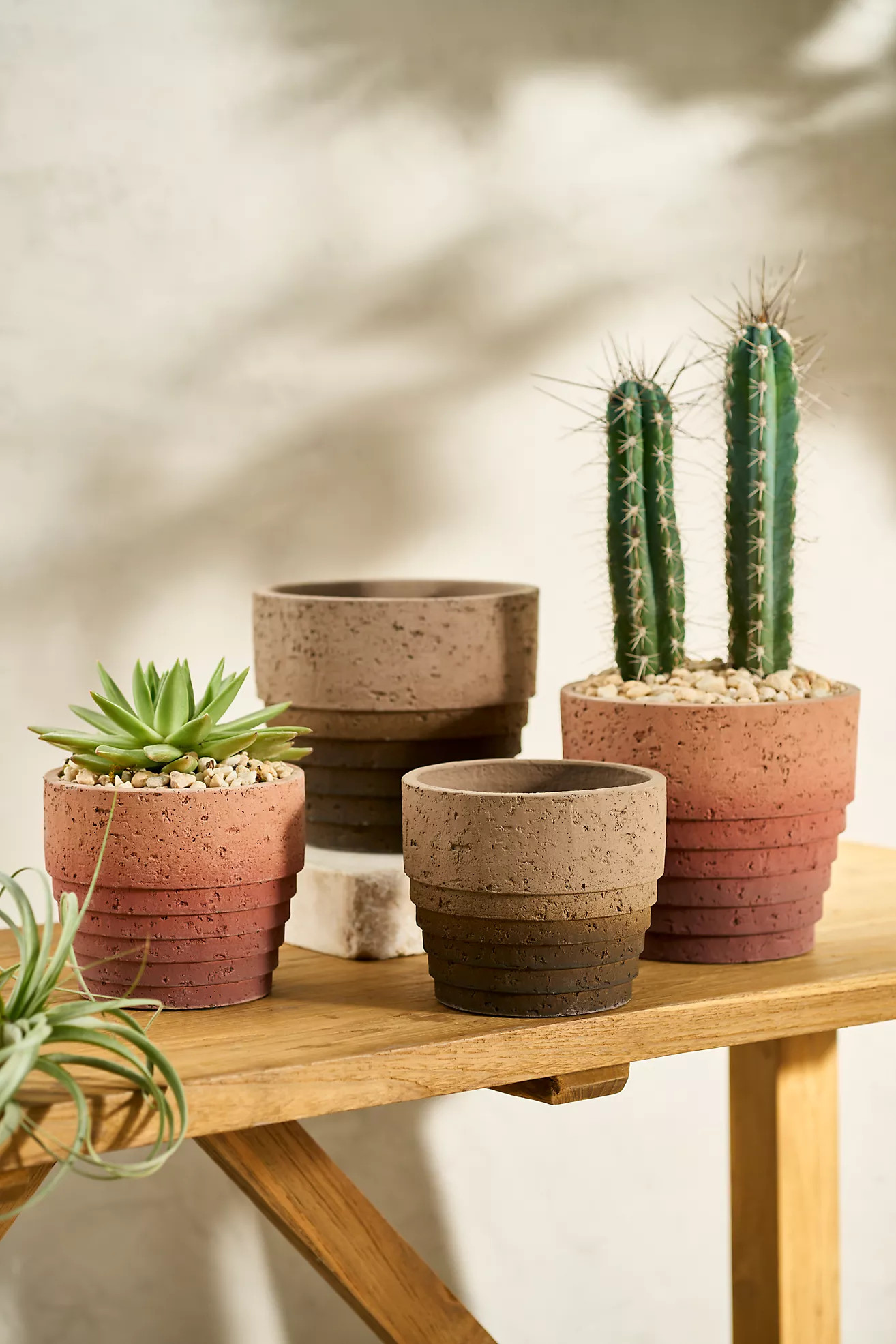 Tiered Ombre Cement Pot | Anthropologie (US)