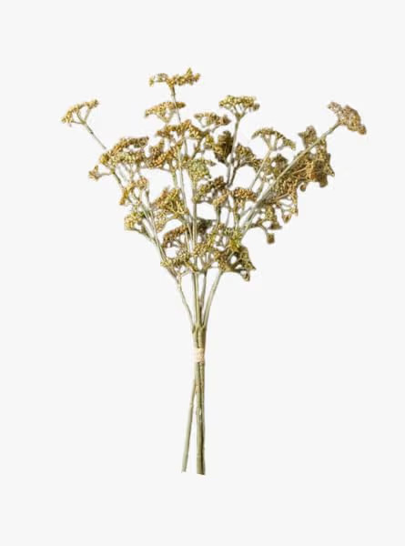 Wild Sedge Stem | Amazon (US)