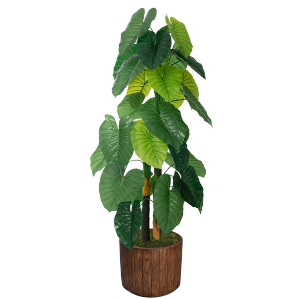 Aaru Real Touch Taro Plant in Planter | Wayfair North America