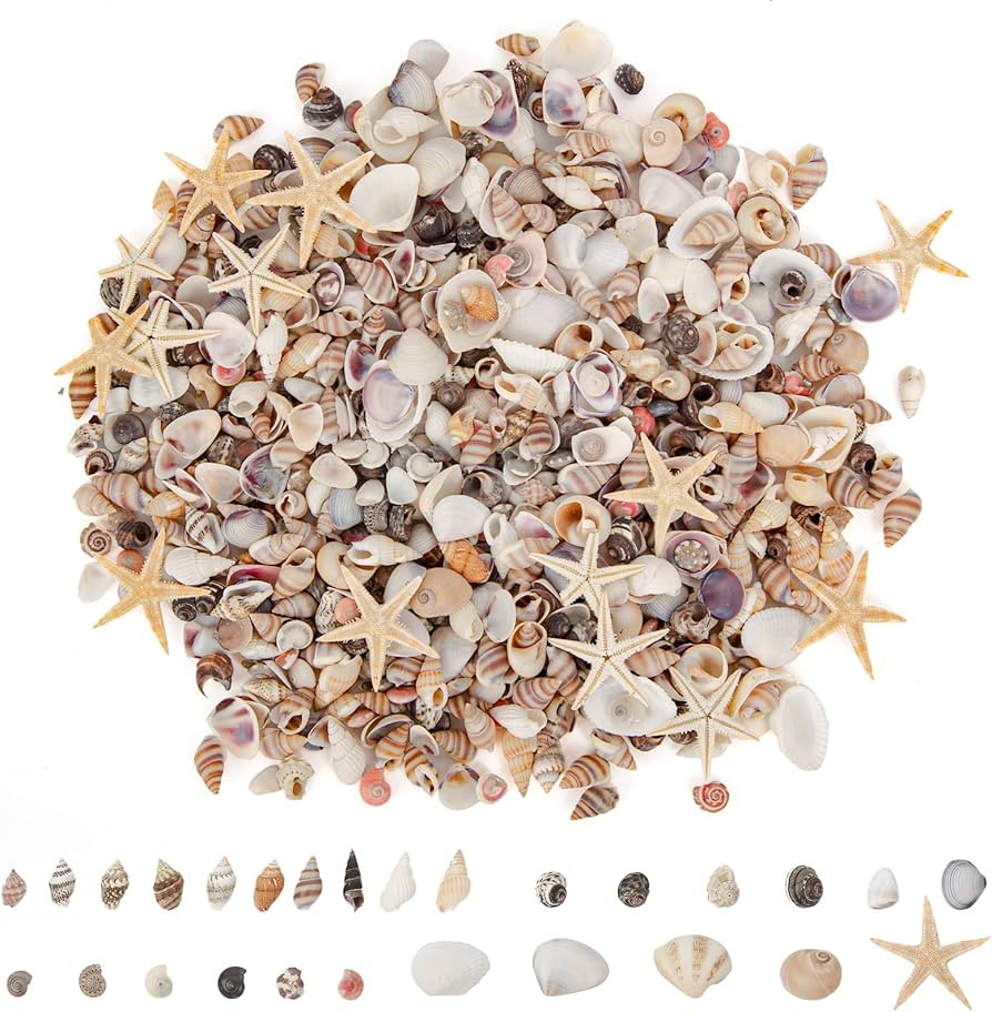 JQAQJU 1000 PCS Mini Sea Shells Small Starfish Mixed, 20 Kinds of Tiny Seashells Bulk for Craftin... | Amazon (US)