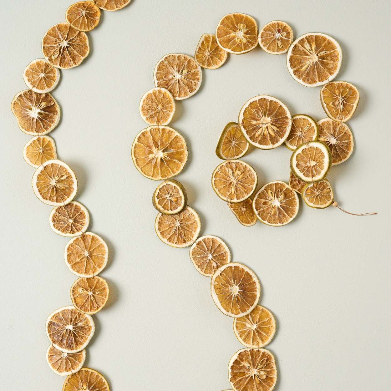 Dried Citrus Slice Garland | Magnolia