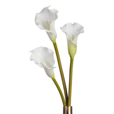 Faux Calla Lily - Set of 3 | Z Gallerie