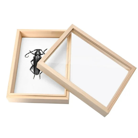 Insect Display Case Wooden Frame Butterfly Shadow Box with Clear Glass Top Insect Specimen Storag... | Walmart (US)