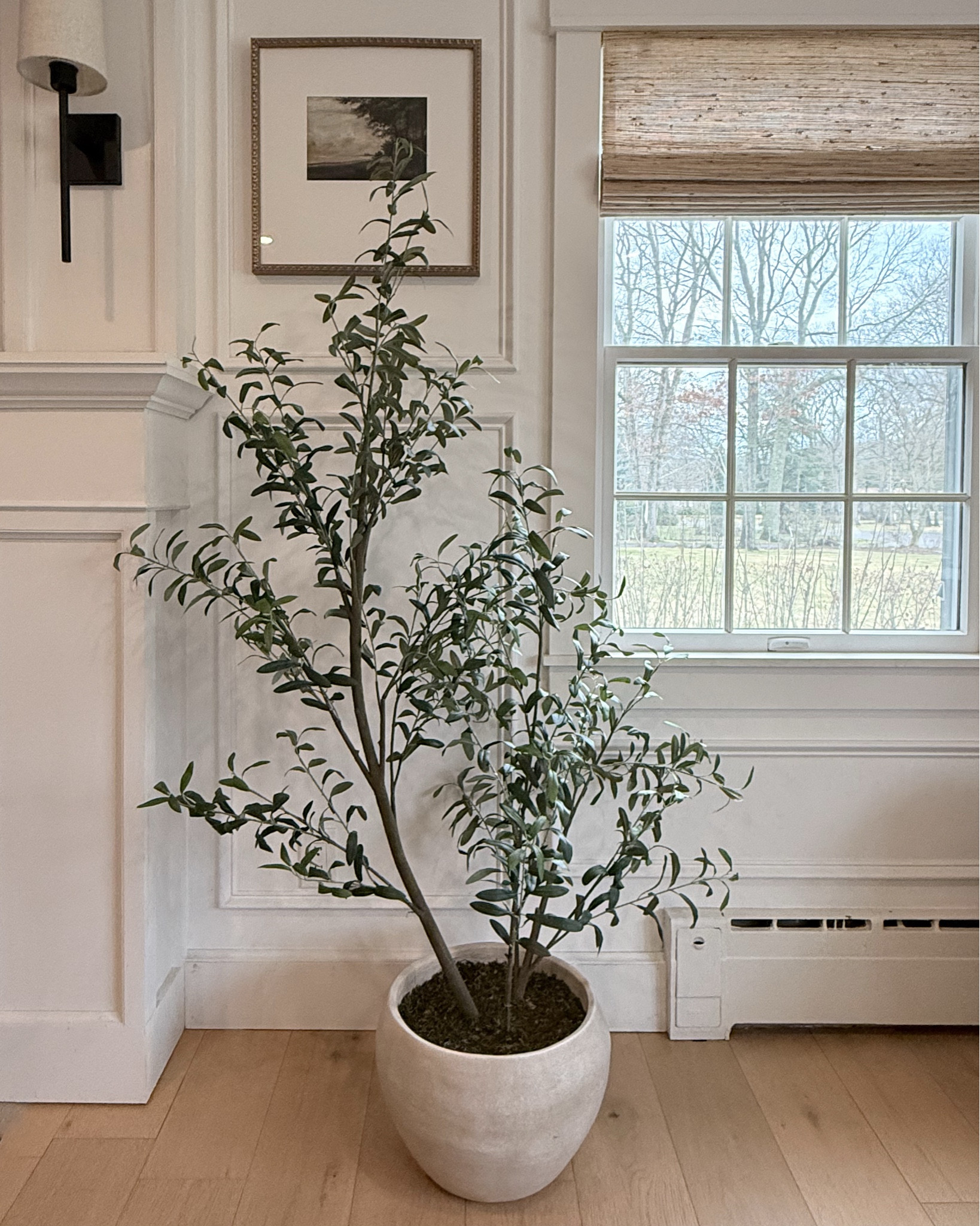 Realistic, organic modern artificial olive tree. One of the new additions to the Spring 2026 Threshold + Studio McGee Collection. This pottered beauty is the perfect height with its asymmetrical branches and realistic leaves. The pot itself is really pretty with it’s neutral tones.

#LTKSaleAlert #LTKHome #LTKdayinmylife