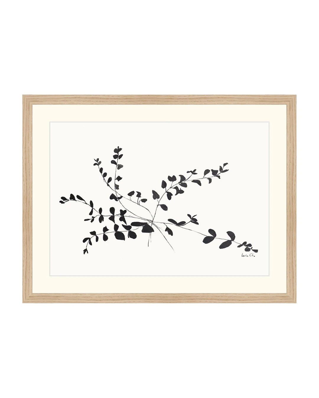 FRAMED. Ink Botanical. Ink Flower Drawing. Ink Drawings of Botanicals. Flower Sketch Print Framed... | Etsy (US)