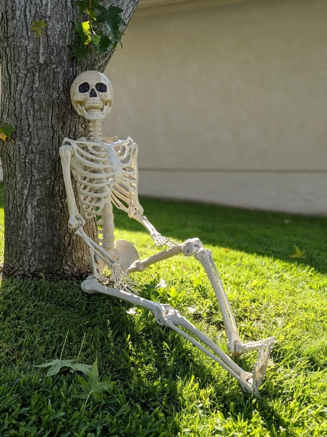 Way to Celebrate Halloween Hanging Posable Skeleton Decoration, 5' | Walmart (US)