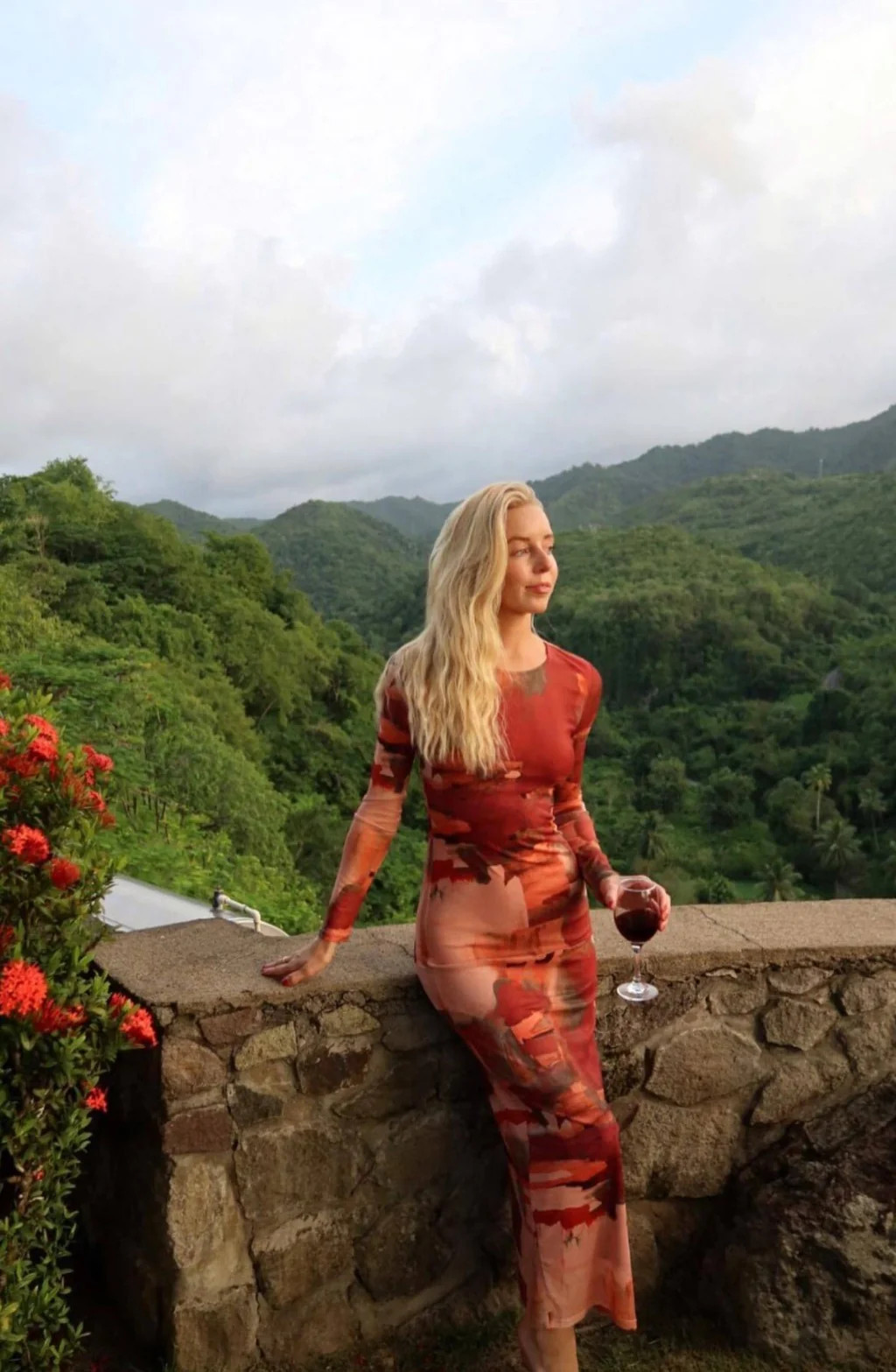 Casanova Printed Mesh Maxi Dress | 12th Tribe