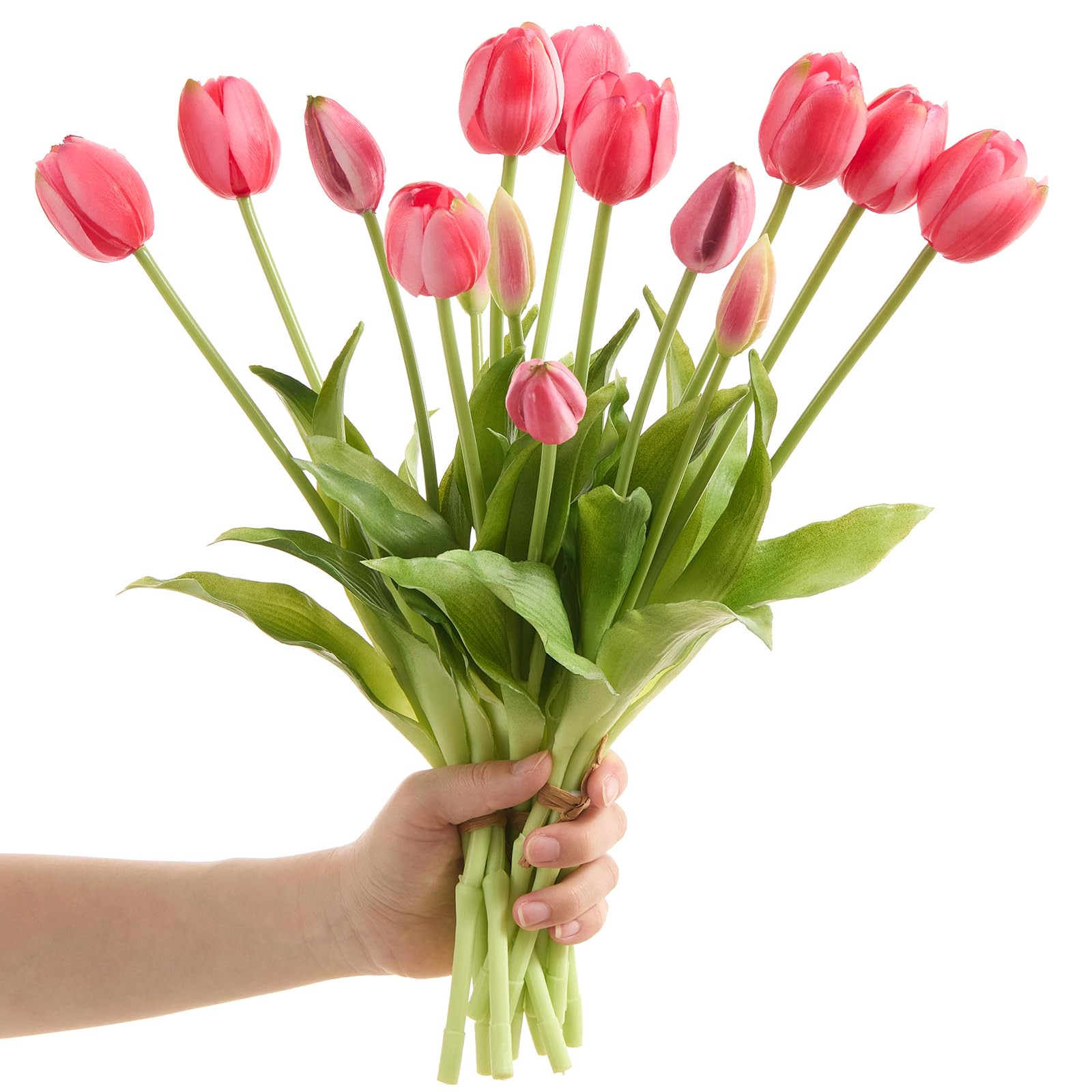 15 pcs Cream Tulips Artificial Flowers Faux Tulips Real Touch Latex Fake Flower Bouquet for Sprin... | Amazon (US)