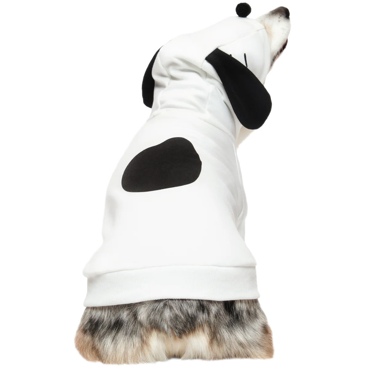 Snoopy Dog Hoodie | BARK