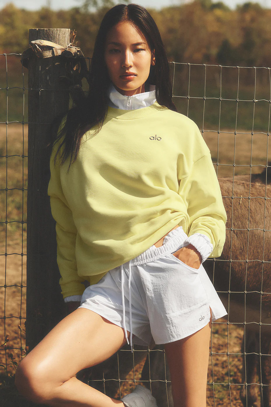 ALO | Accolade Crewneck Neck Pullovershine Top in Sun Yellow, Size: Medium | Alo Yoga (US)