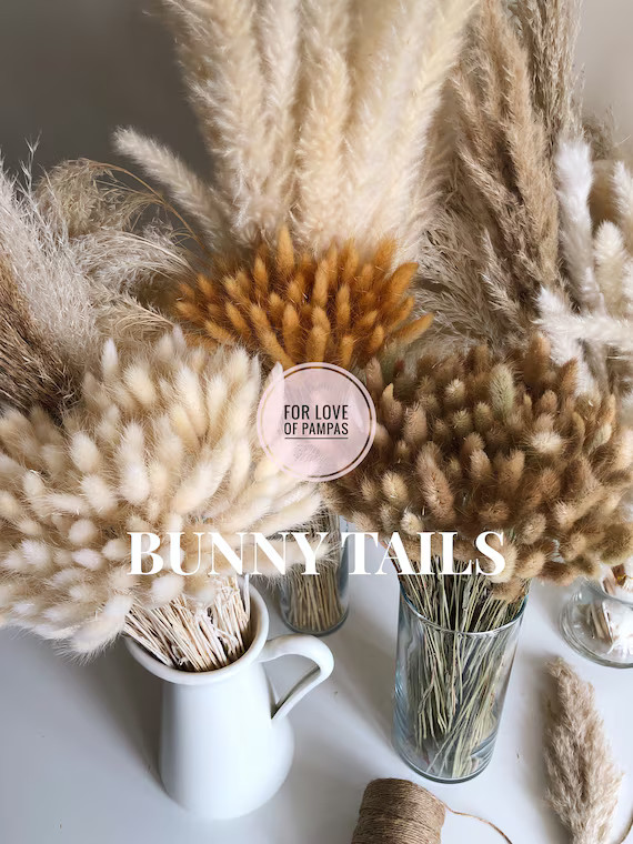 BUNNY TAILS Pampas Grass 30 pcs - Natural Dried Lagurus Boho Wedding Decor Bridal Bouquet Bohemia... | Etsy (US)