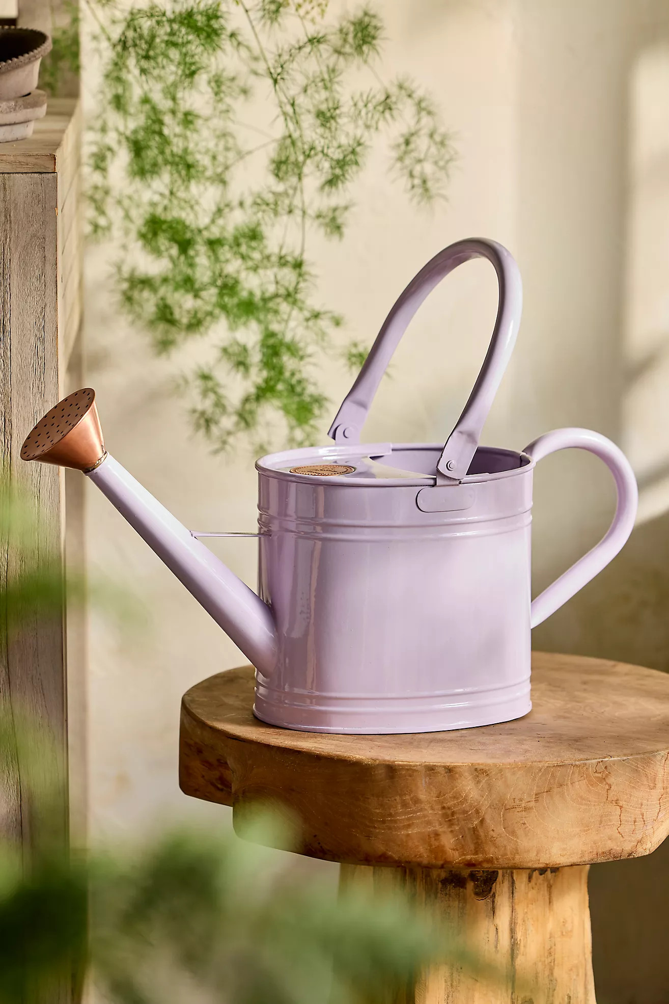 Enameled Iron 2 Liter Watering Can | Terrain