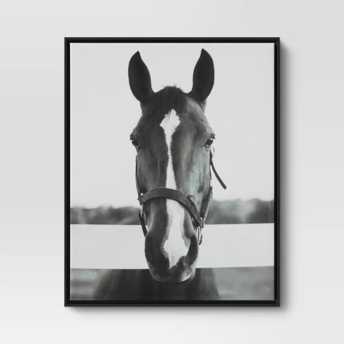 24&#34; x 30&#34; Black and White Horse Framed Canvas - Threshold&#8482; | Target