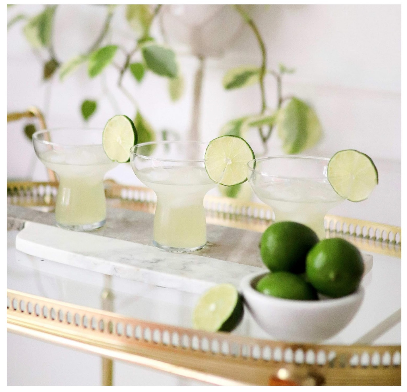 1 margarita 2 margarita 3 margarita 

#LTKhome #LTKunder50 #LTKxPrimeDay