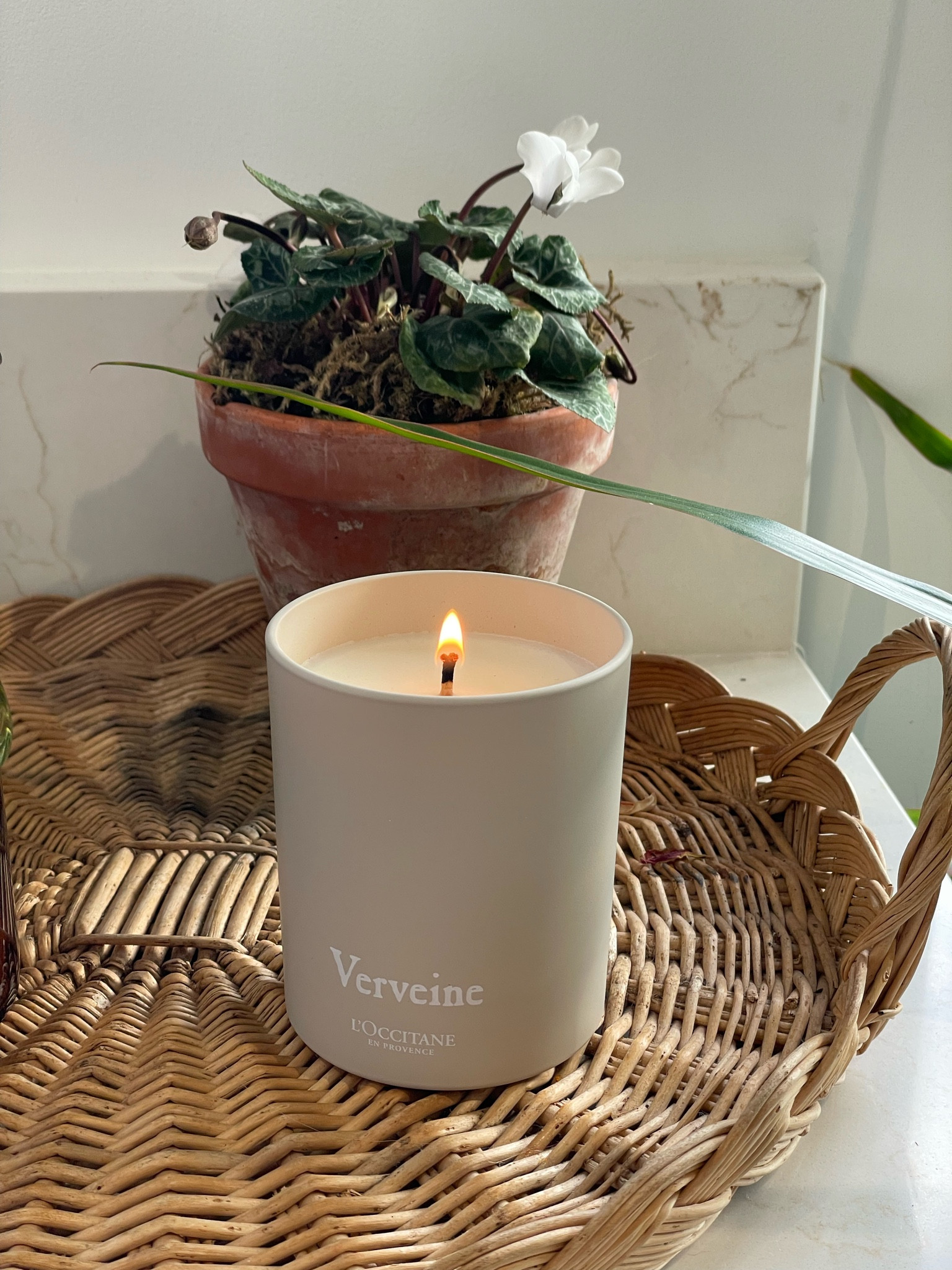 Loccitane Verbena candle

#LTKuk #LTKluxury #LTKCyberWeek