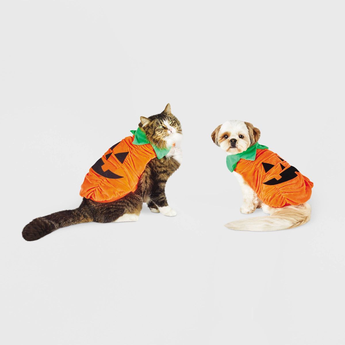 Halloween Plush Pumpkin Dog and Cat Costume - Hyde & EEK! Boutique™ | Target