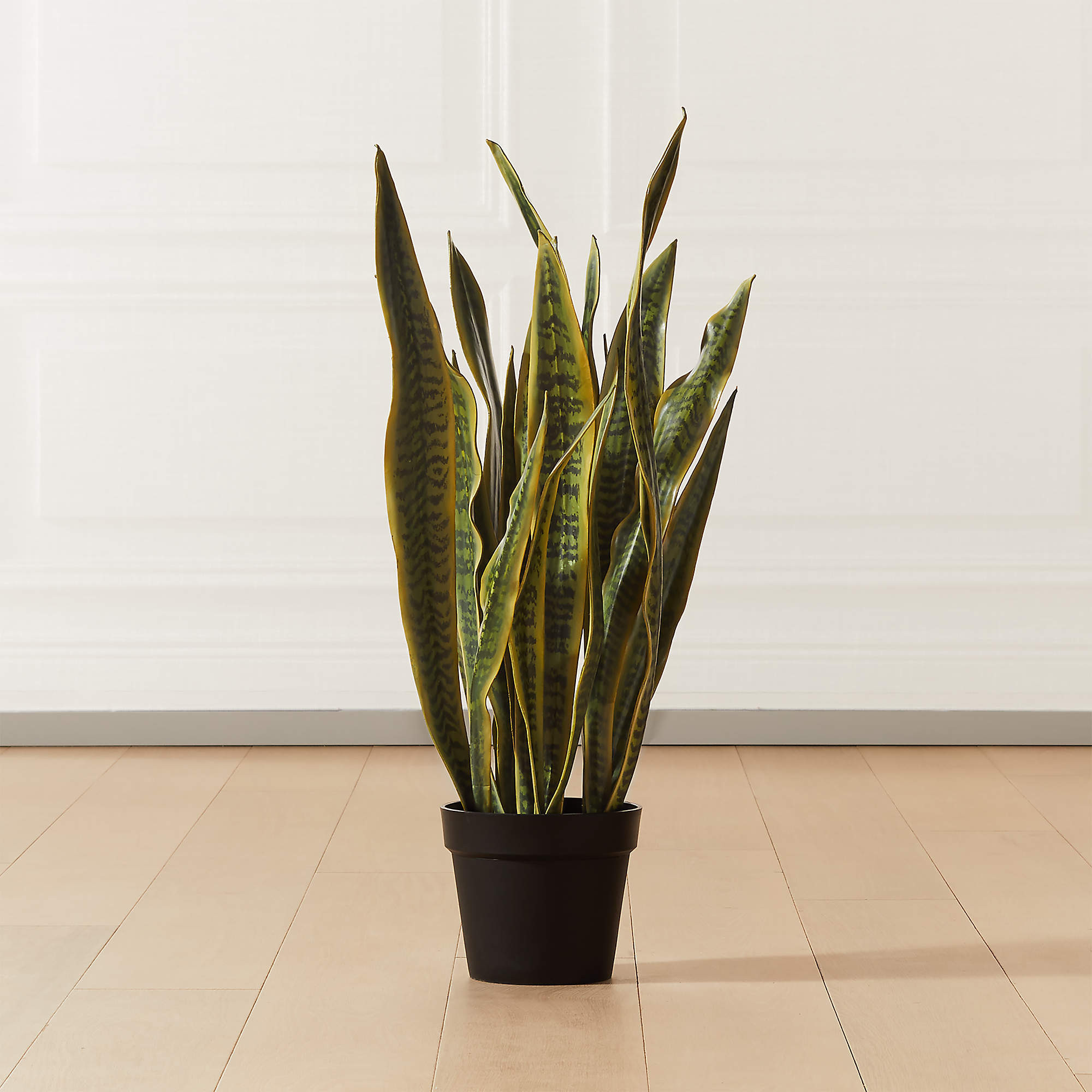 Faux Potted Snake Plant 3' + Reviews | CB2 | CB2