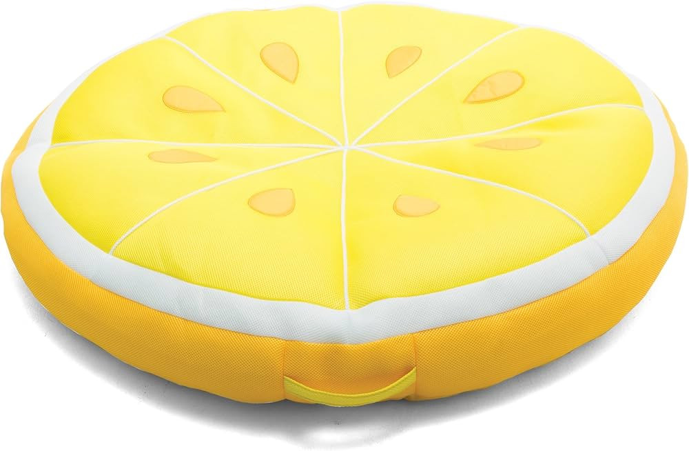 Big Joe Fruit Pool Floats, No Inflation Needed, Quick Draining Fabric, Round Loungers and Pool No... | Amazon (US)