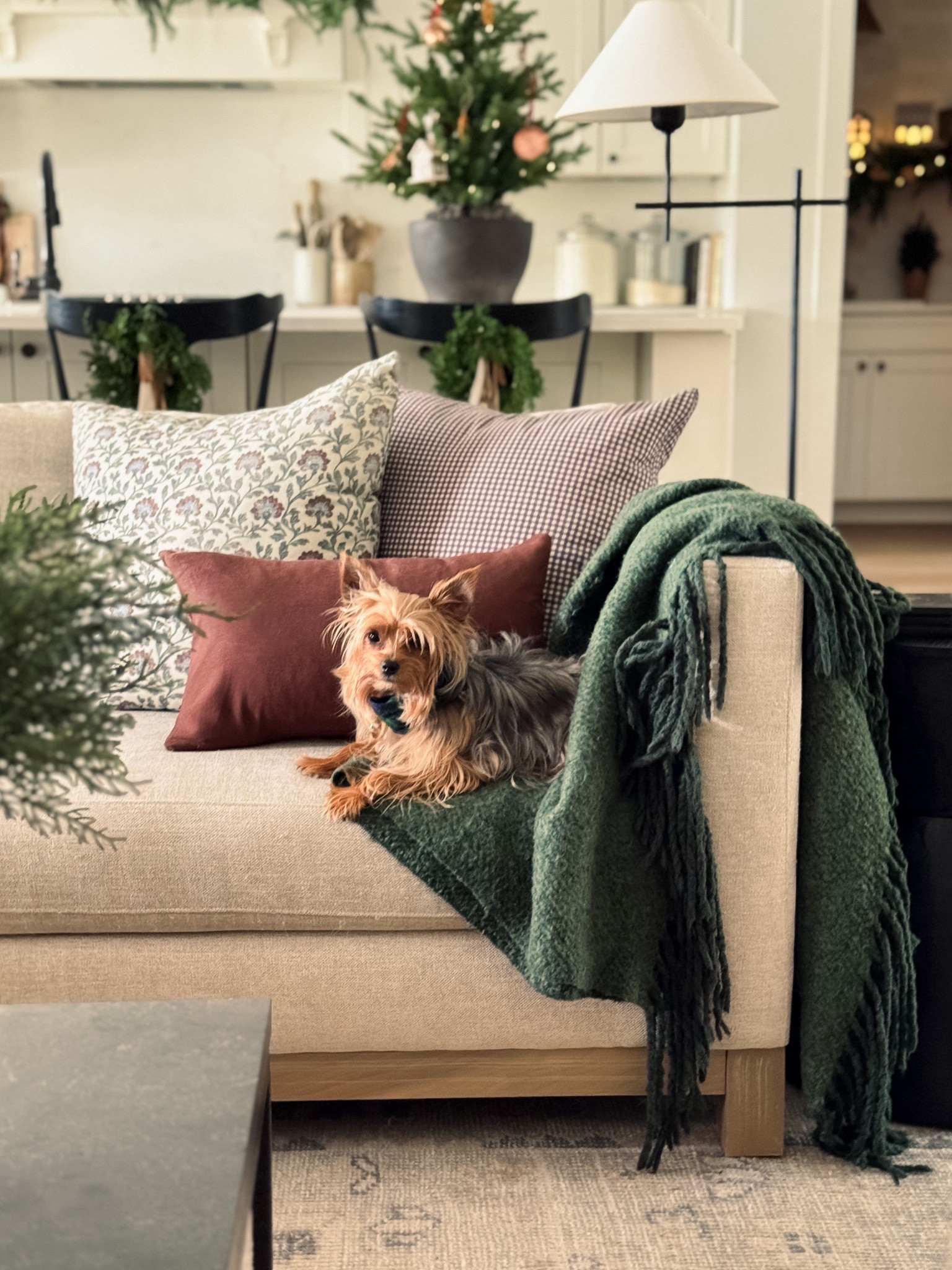 Deep reds and rich burgundies are having their moment this season, and these pillows from @woven.nook are the perfect way to carry that cozy holiday feeling through the whole room. ✨ Even better? They’re all on sale 30% off for Black Friday. 🎁

#LTKHome #LTKHoliday #LTKSeasonal