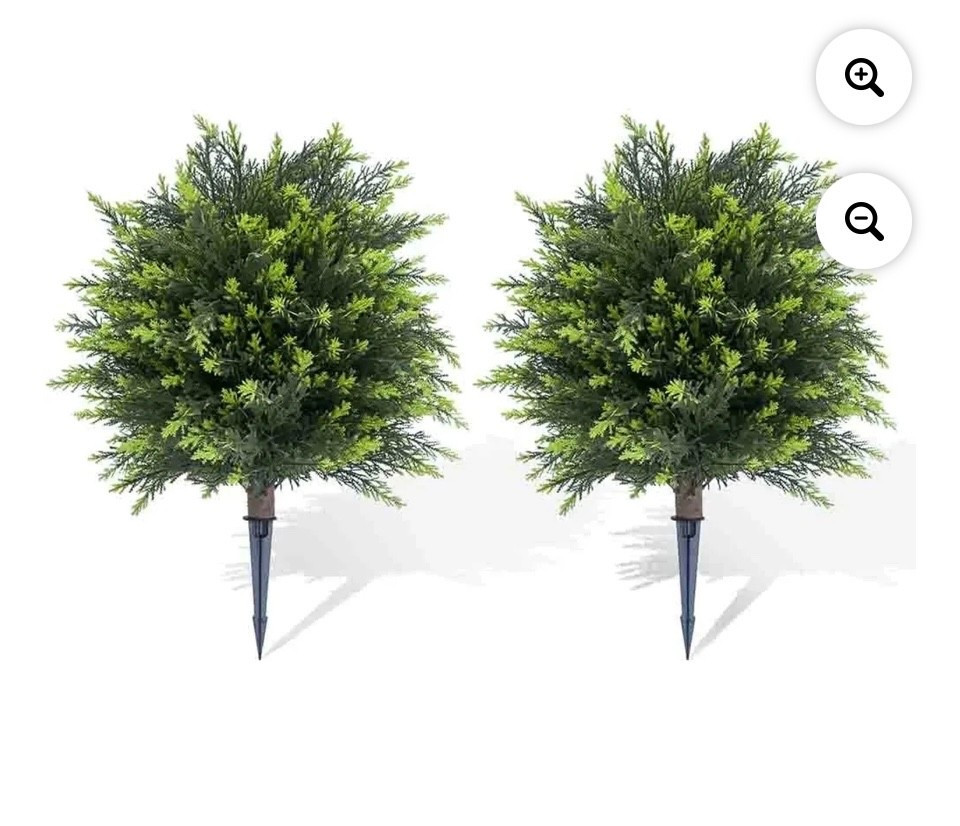 🌳🌳

#LTKSeasonal #LTKHome