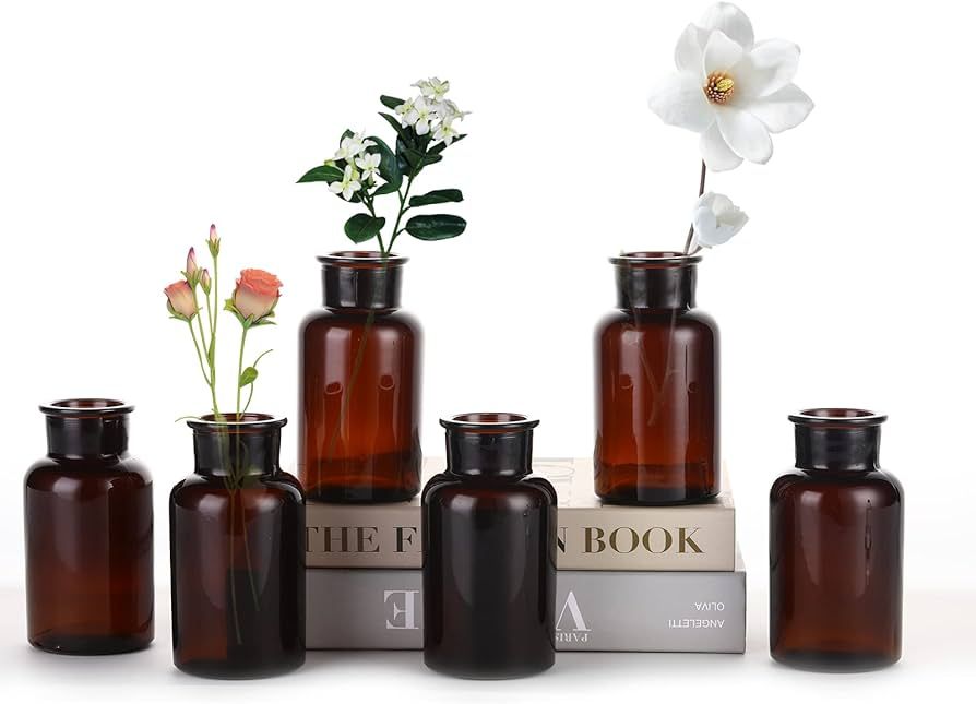 YONKAN Amber Glass Bud Vases, Set of 6 Glass Vases, Small Flower Vases, Decorative Glass Bottles,... | Amazon (US)