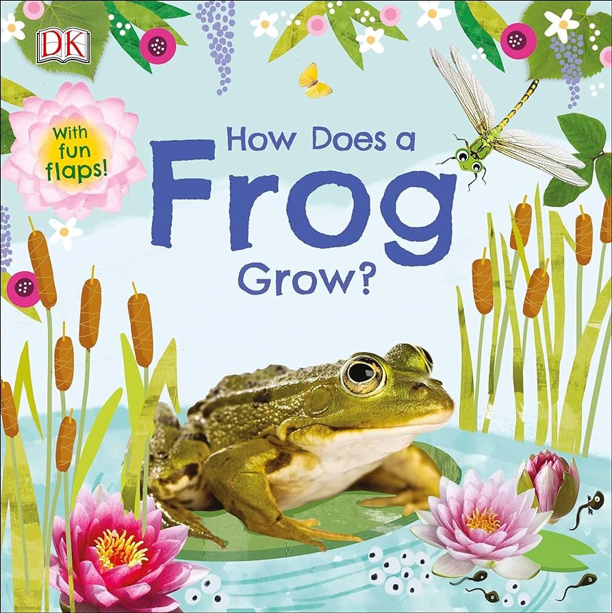 How Does a Frog Grow? (Life Cycle Board Books) | Amazon (US)
