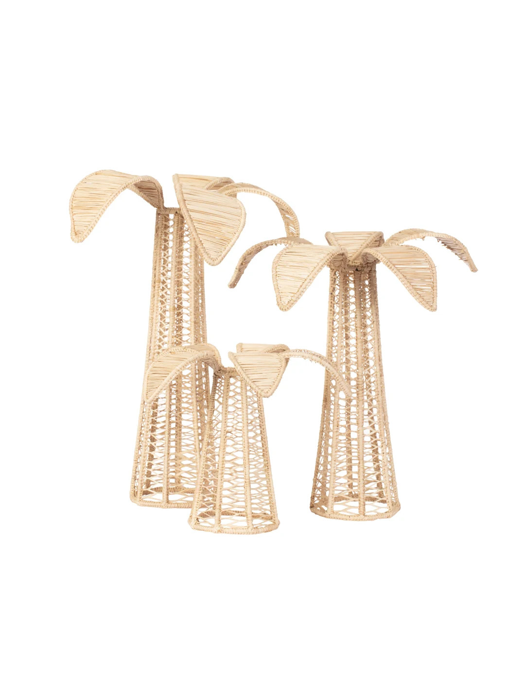 Palm Tree Iraca Decor - Etsy | Etsy (US)