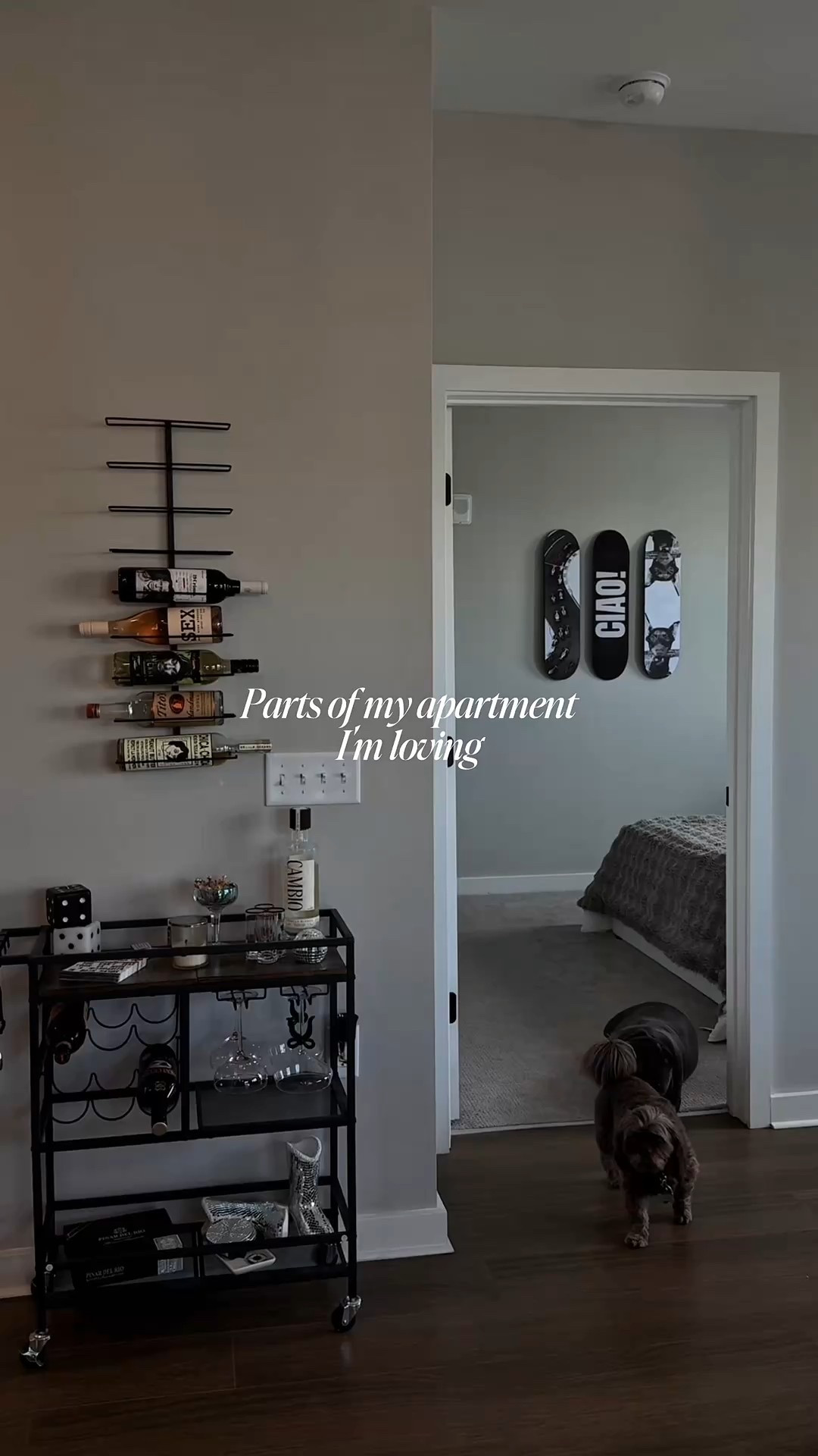 Parts of my apartment I’m loving right now ❤️#LTKApartment #girlapartment #homedecor 

#LTKHome