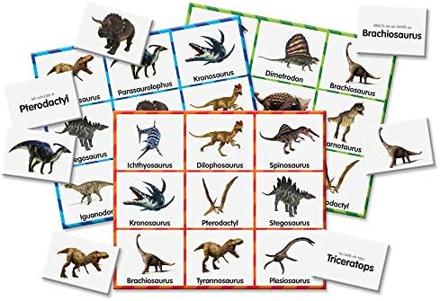 The Learning Journey: Match It! Bingo - Dinosaurs - Sight Word Bingo - Award Winning Toys | Amazon (US)