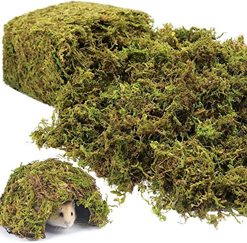 Riare 1.3LBS Artificial Fake Moss for Fake Plants Indoor- Premium Faux Craft Moss for Potted Plant, Fresh Green Moss Forest Moss for Hamsters Micro-Landscape Terrariums Centerpieces Decor | Amazon (US)