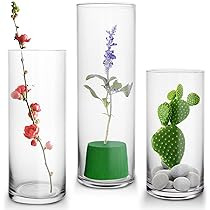 Clear Flower Glass Vase Decorative Centerpiece for Home or Wedding,Cylinder Shape, 3.5" Opening, 8 " | Amazon (US)