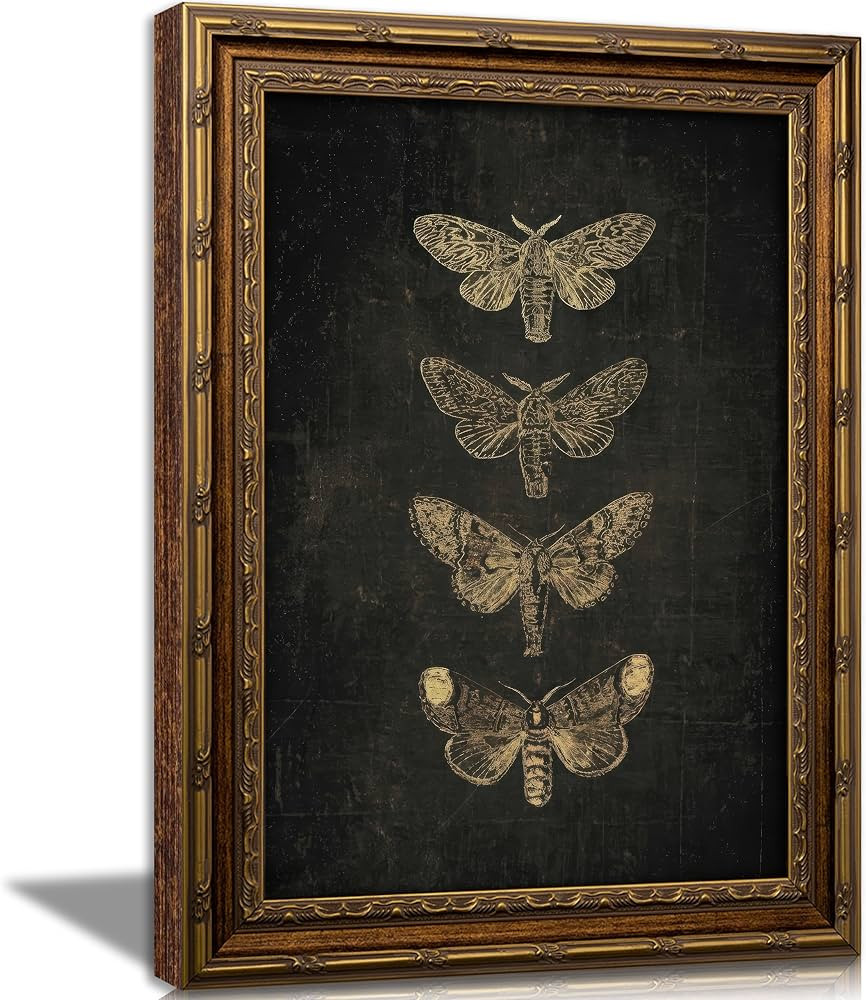 Vintage Gold Framed Moth Wall Art, Retro Dark Academia Butterfly Insect Canvas Print Poster, Goth... | Amazon (US)