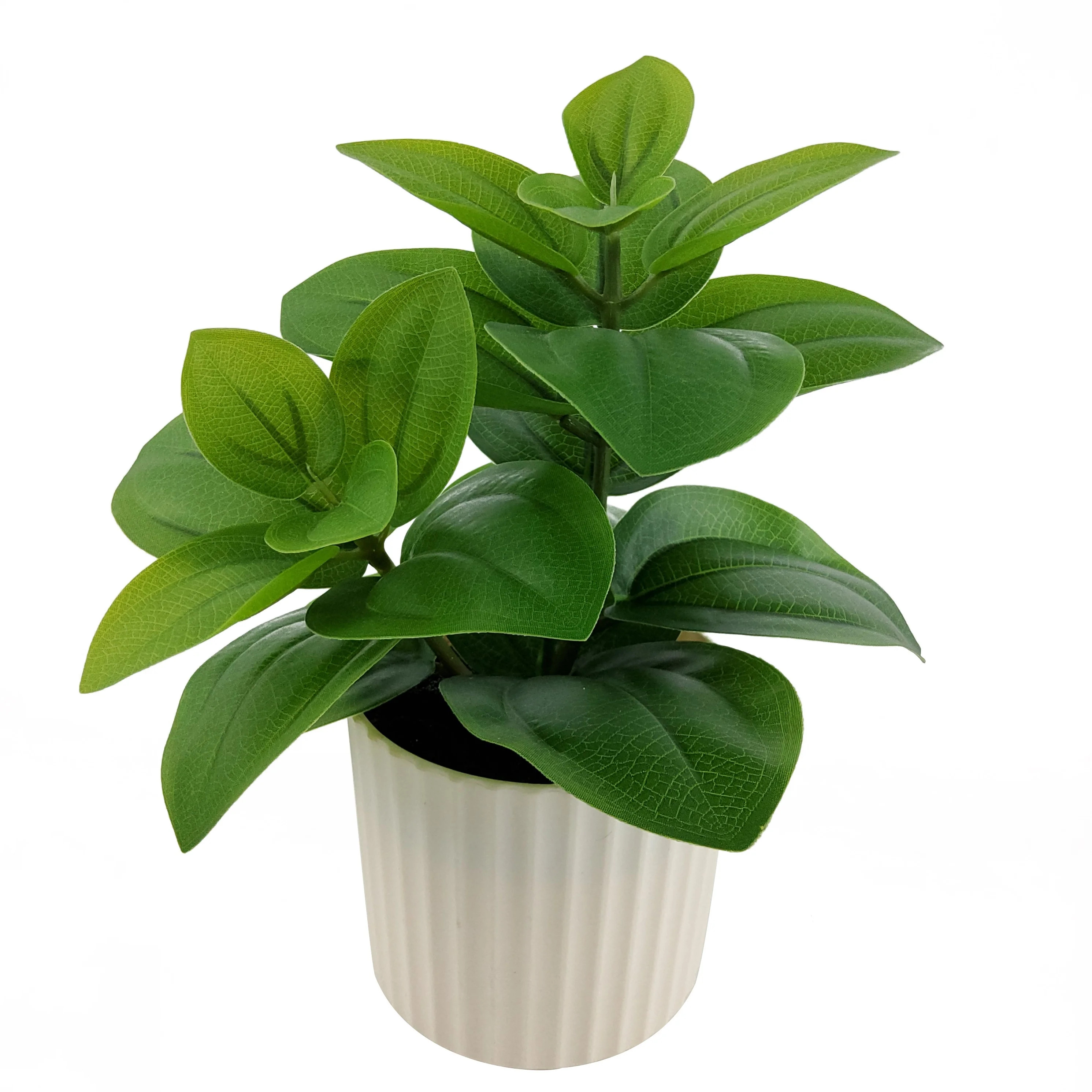 Mainstays 9 in Artificial Peperomia Plant in White Pot, Green Color, 0.5lb Weight. | Walmart (US)