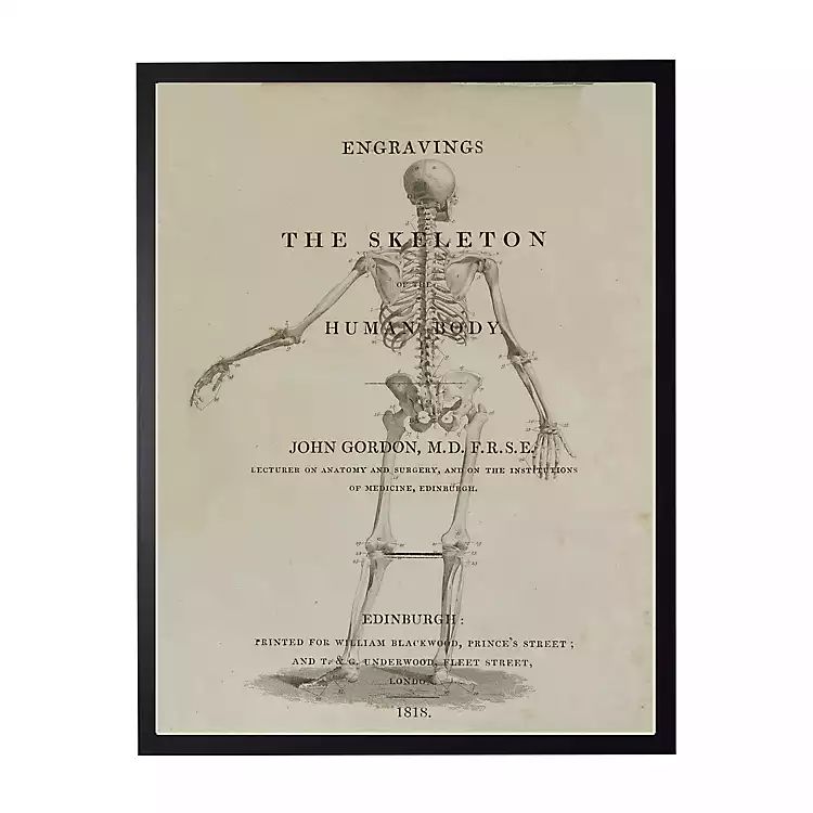 Skeleton Back Framed Halloween Wall Art | Kirkland's Home