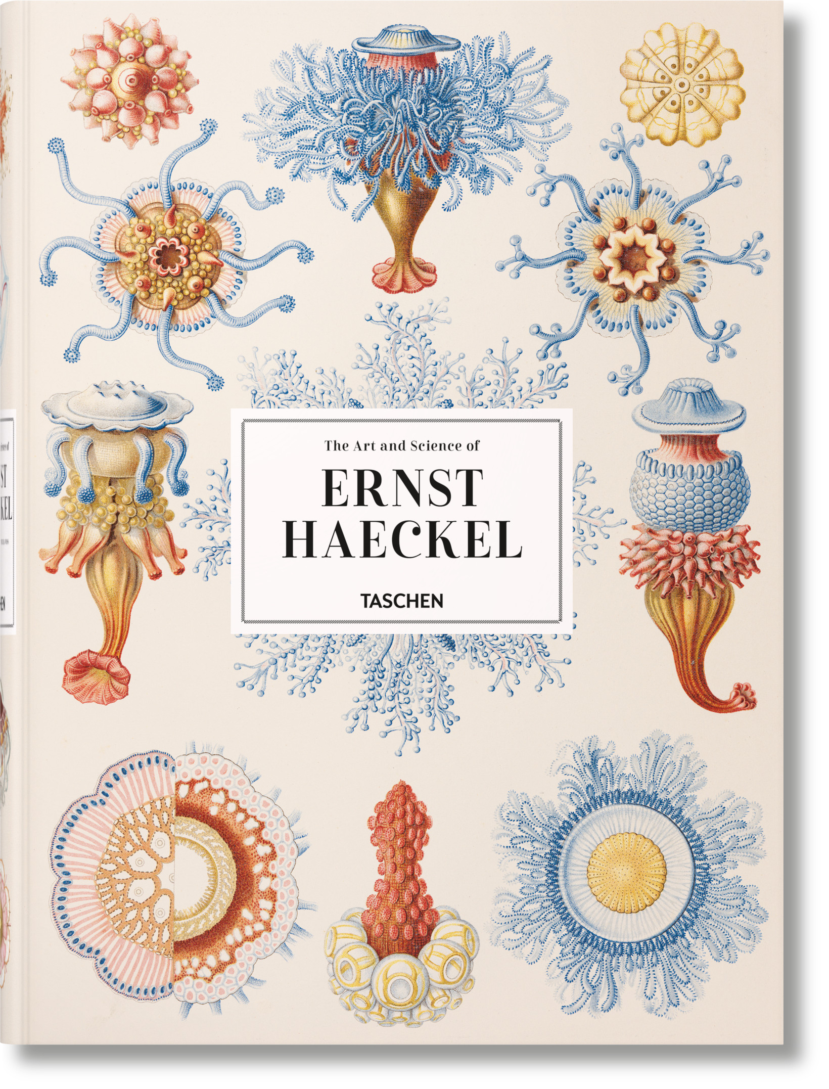 TASCHEN Books: The Art and Science of Ernst Haeckel | TASCHEN