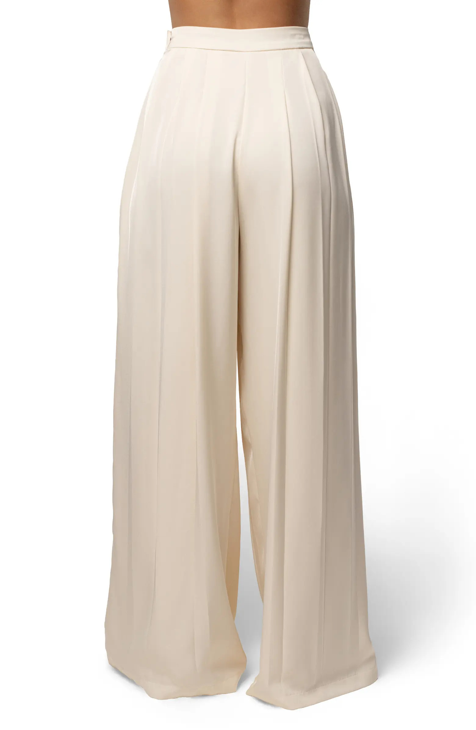 Clara Pleated Wide Leg Trousers | Nordstrom