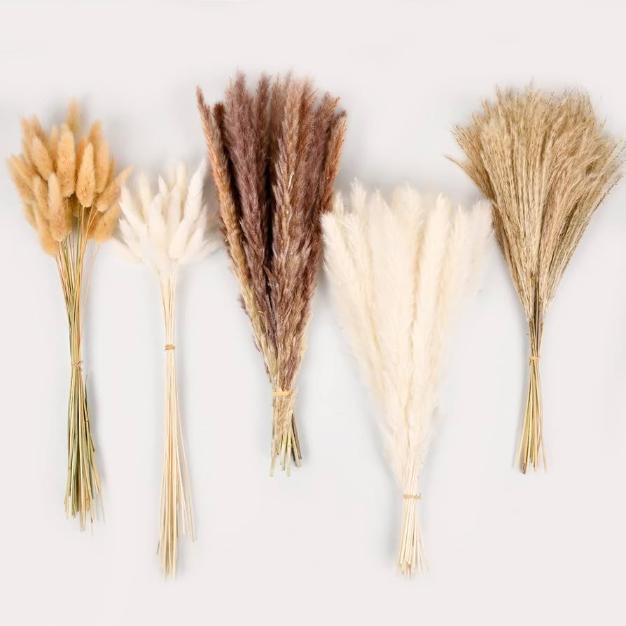 Dried Pampas Grass Decor, 110 PCS White and Brown Pampas Grass & Bunny Tails & Reed Grass Dried F... | Amazon (US)