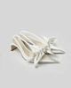 Queena Floral Appliques Slingback Pumps - Ivory White | JW PEI US