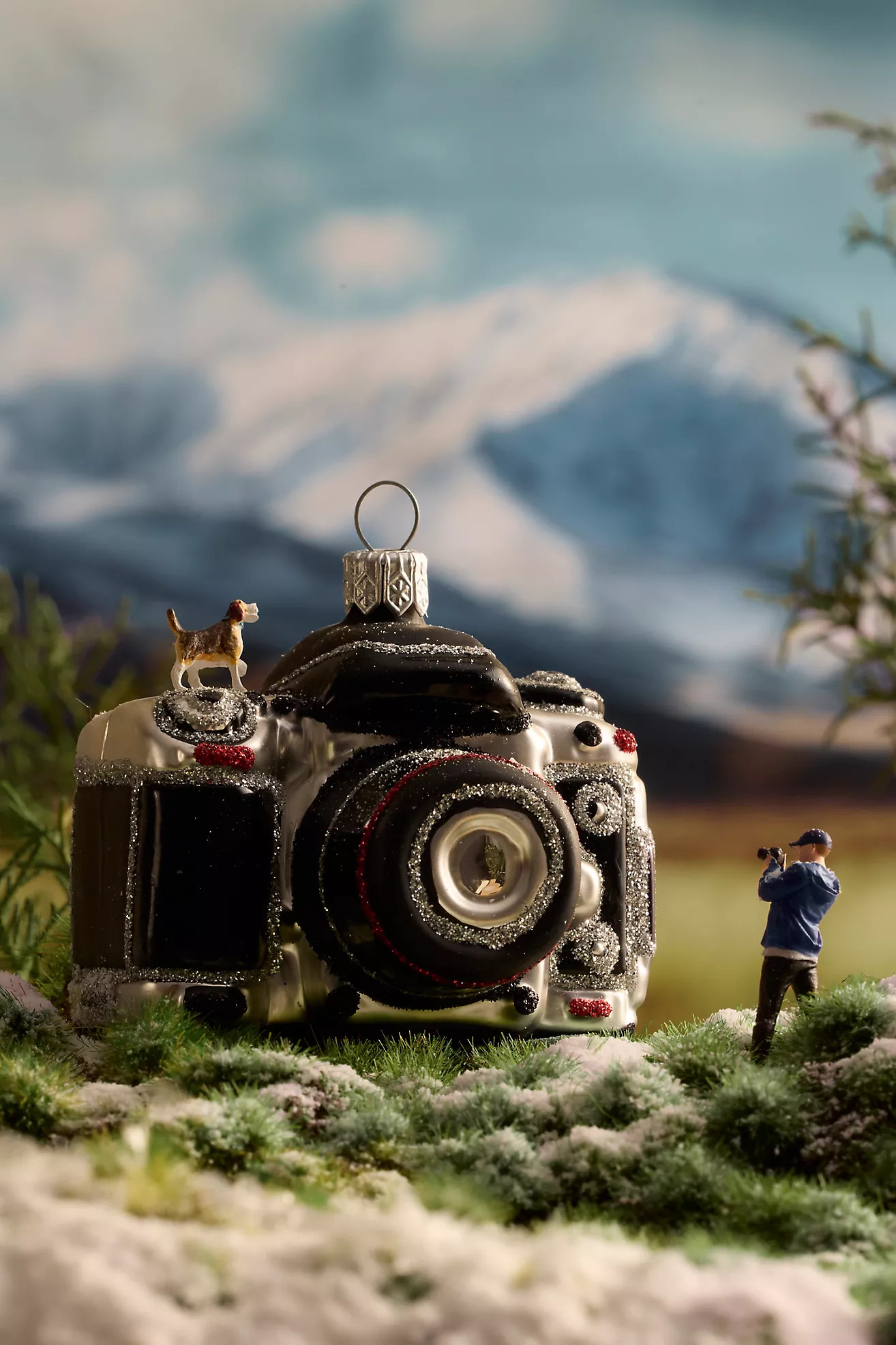 Film Camera Glass Ornament | Anthropologie (US)