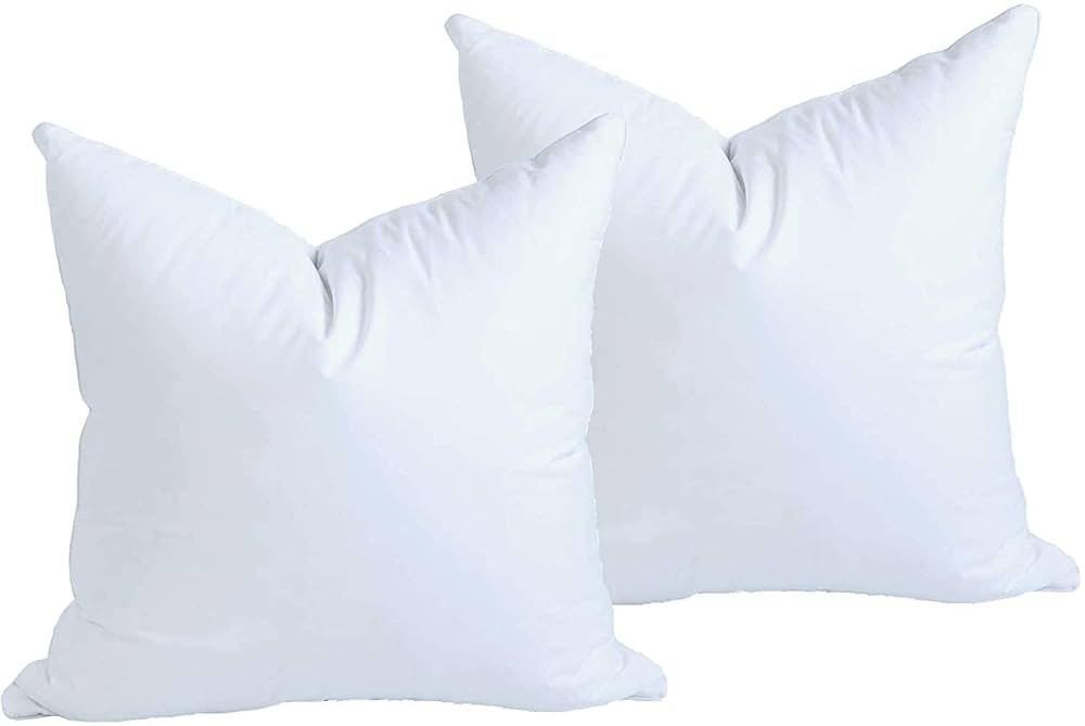 MoonRest® Synthetic Down Alternative 22x22 Square Pillow Insert Form, for Decorative Throw Pillo... | Amazon (US)