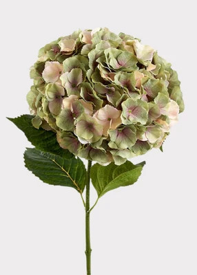 Large Vintage Green and Mauve Fake Hydrangea Flower - 11" Bloom | Afloral