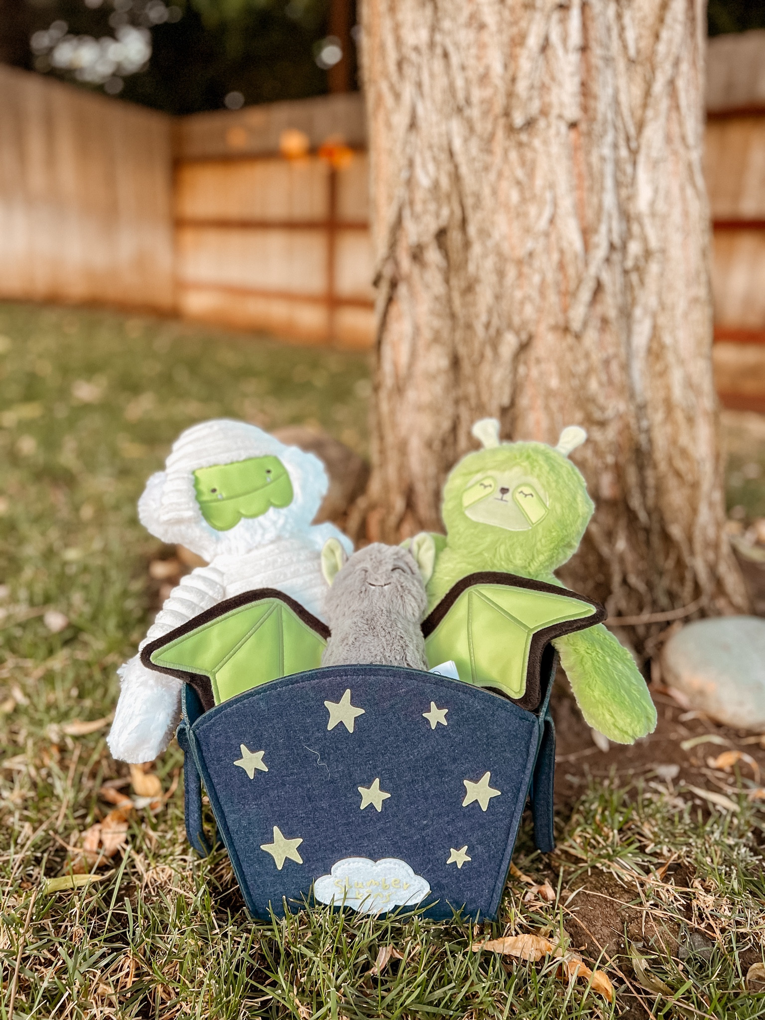 Best Boo Basket! 

#LTKKids #LTKSeasonal #LTKFallSale